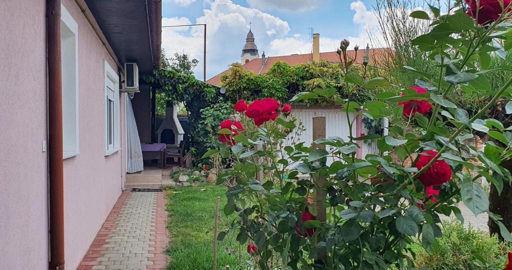 Apartman Ksenija Đakovo Exterior photo